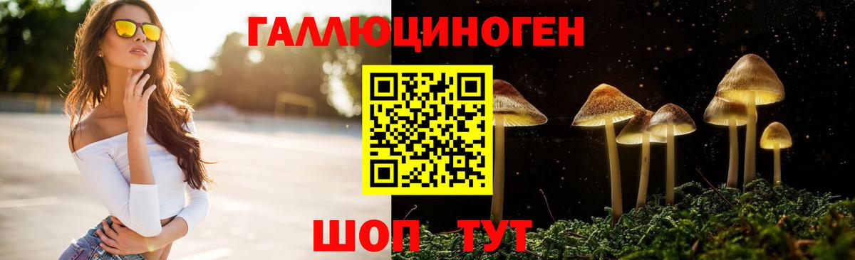 Нижневартовск  Галлюциногенные грибы прущие грибы  Вход с VPN  Псилоцибиновые грибы мухоморы 